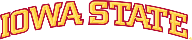 Iowa State Cyclones 2007-Pres Wordmark Logo 01 iron on paper